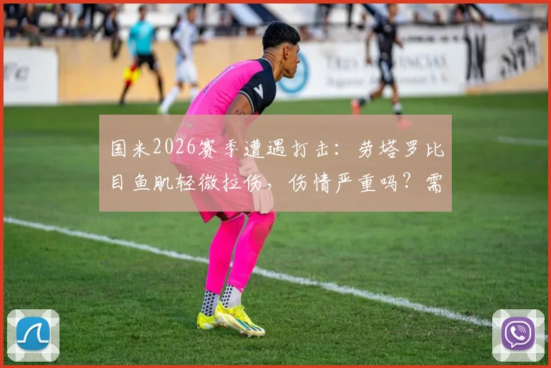 国米2026赛季遭遇打击：劳塔罗比目鱼肌轻微拉伤，伤情严重吗？需要休息多久及重新评估时间解析